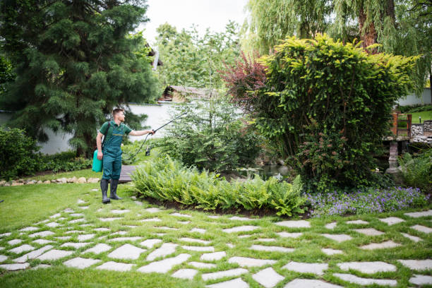 Best Affordable Pest Control Services  in Purvis, MS