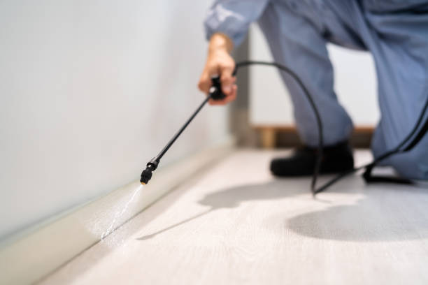 Best Pest Removal Services  in Purvis, MS