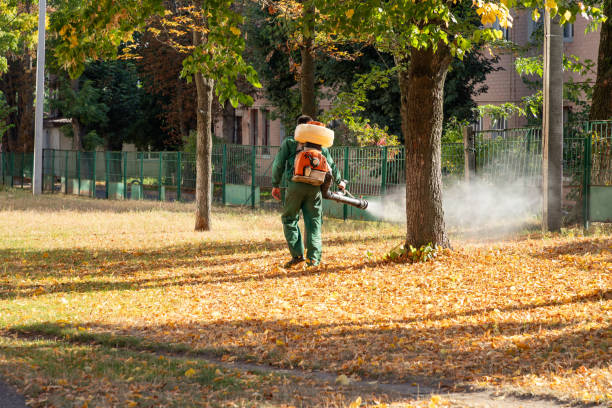 Best Spider Control Near Me  in Purvis, MS